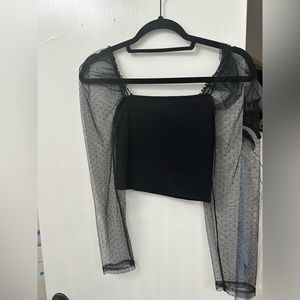 Zara Crop Sheer Sleeve Top
